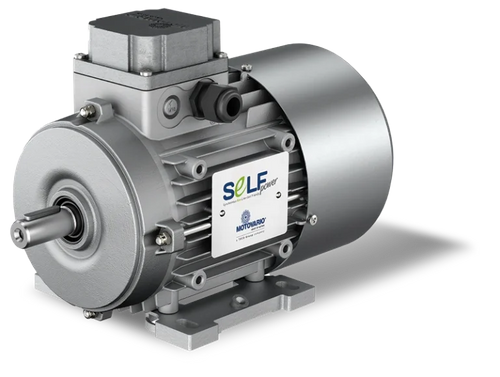 Motor