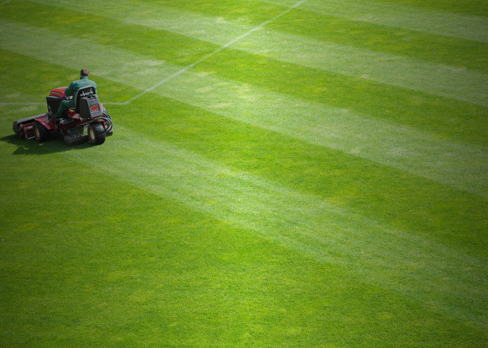 Ground Managers and Supervisors