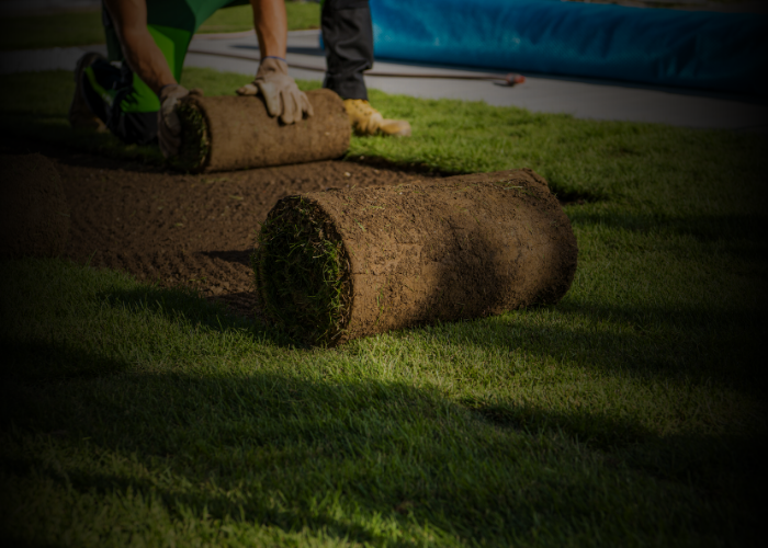 Turf & Pitch Technology