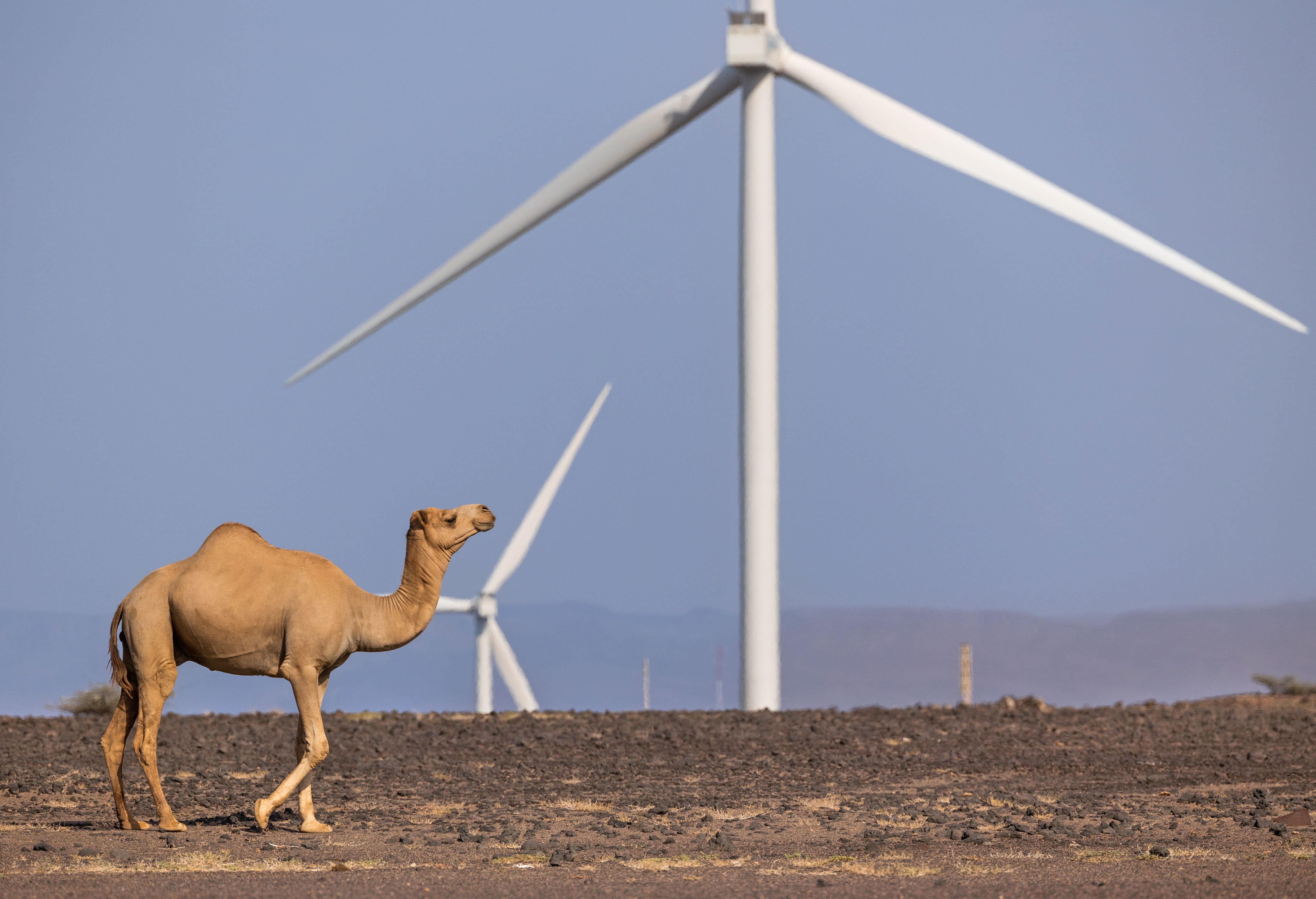 Djibouti Wind Turbine Project