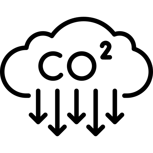 Net Carbon at aef 2022
