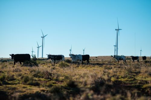 Cookhouse Wind Farm 