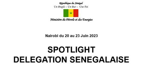Country Spotlight: Republic of Senegal (Ministry of Petroleum & Energy)