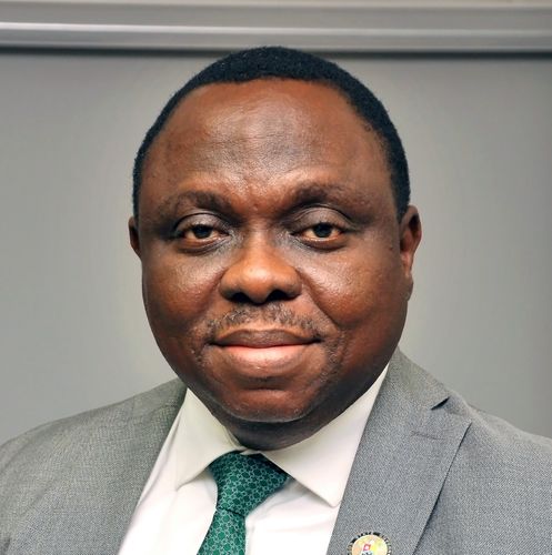 H.E. Honourable Biodun Ogunleye