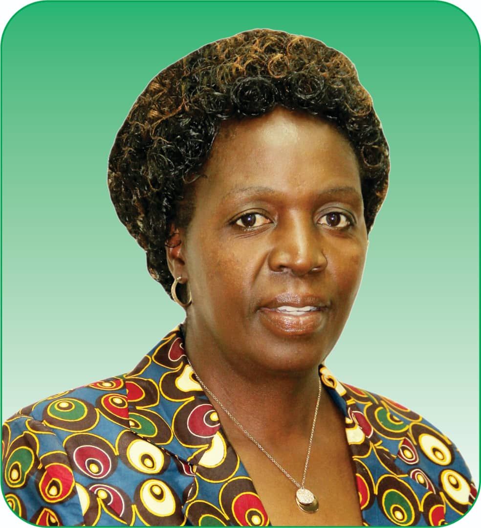 H.E. Honourable Magna Mudyiwa