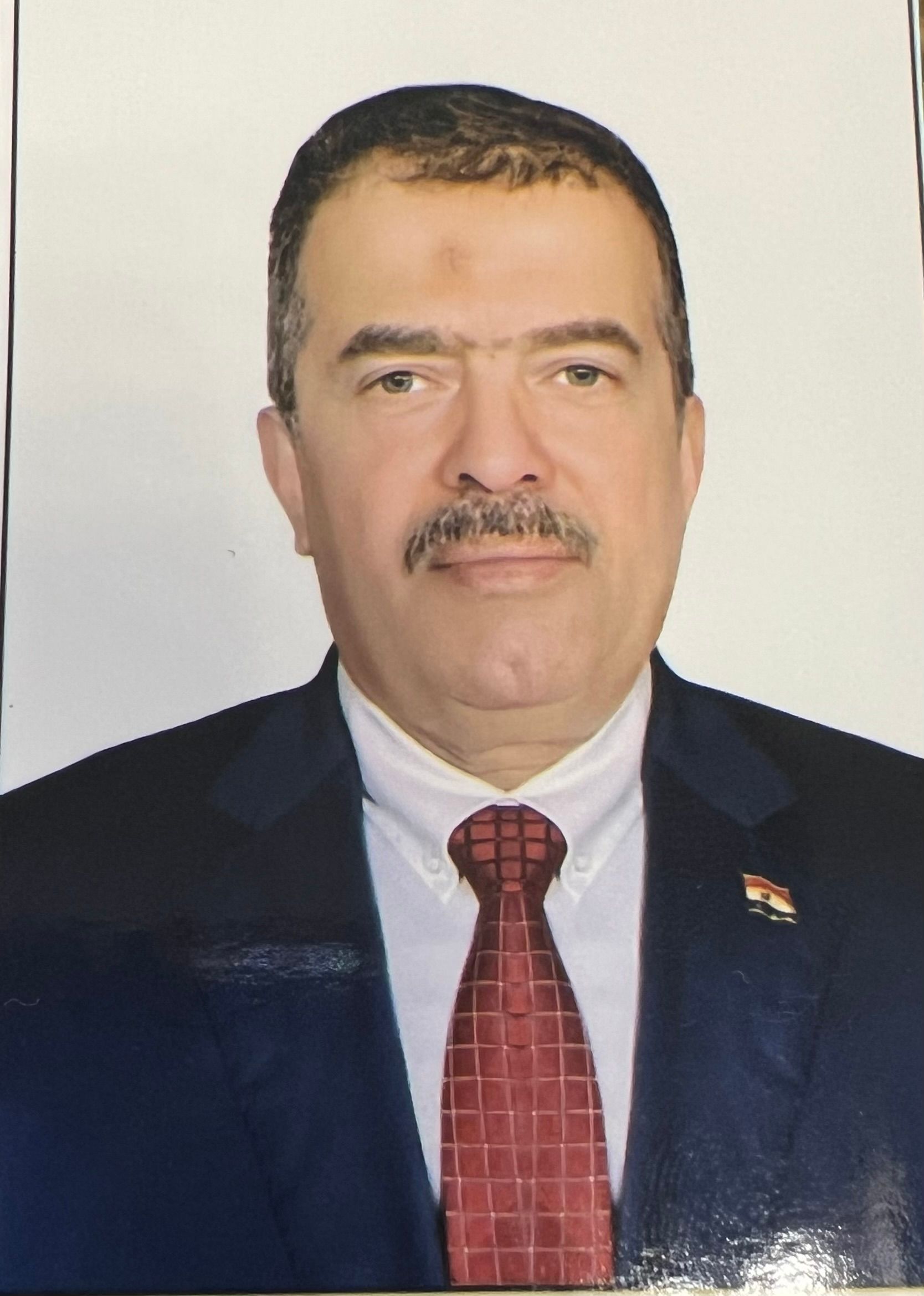Mohammed Mahmoud Hussein Elsisi