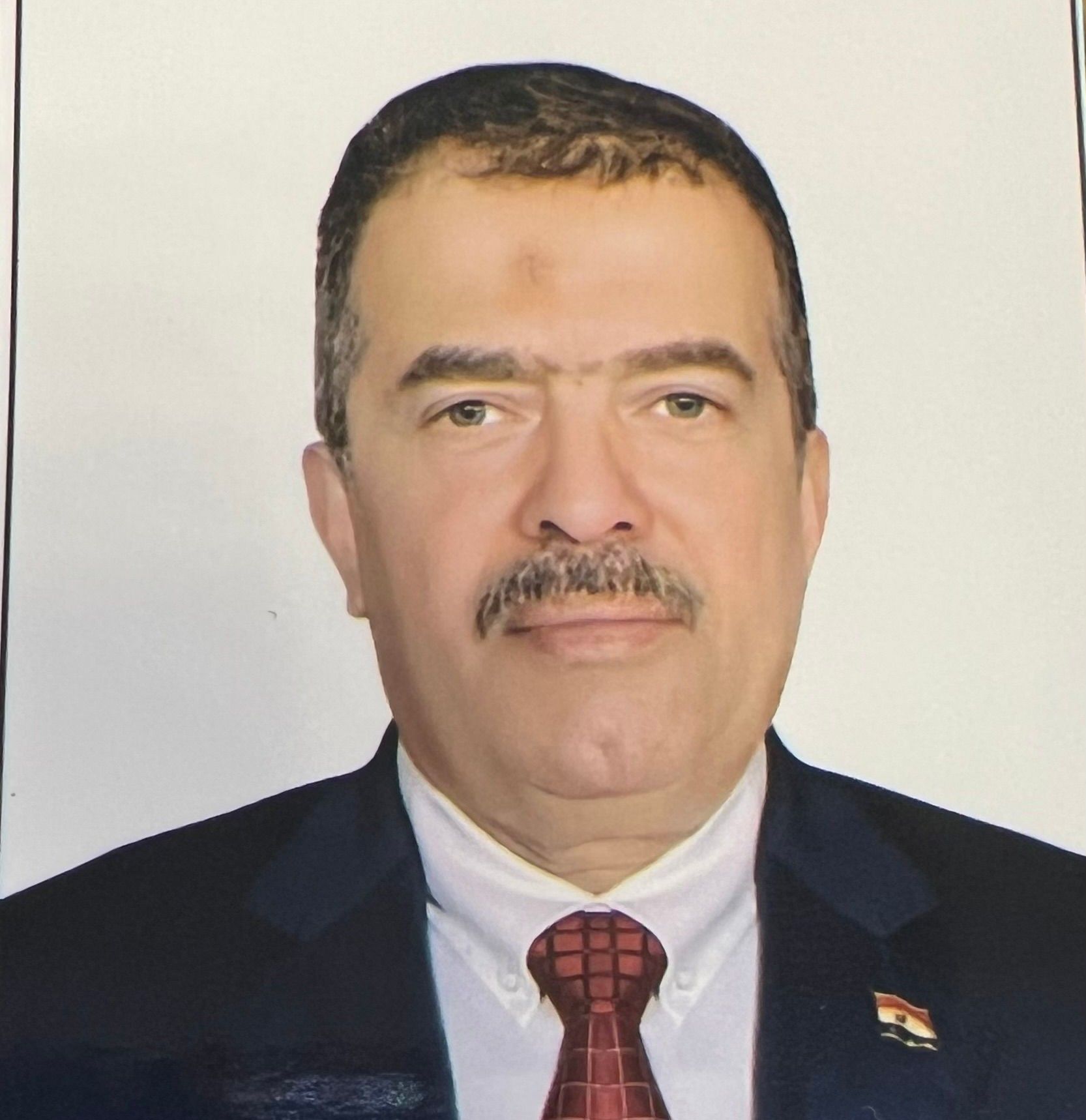 Mohammed Mahmoud Hussein Elsisi