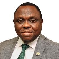 H.E. Honourable Biodun Ogunleye - Lagos State Government, Nigeria