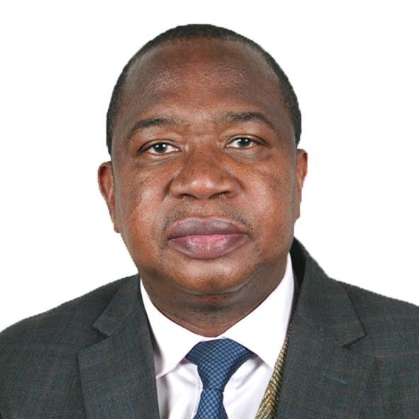 H.E. Honourable Professor Mthuli Ncube