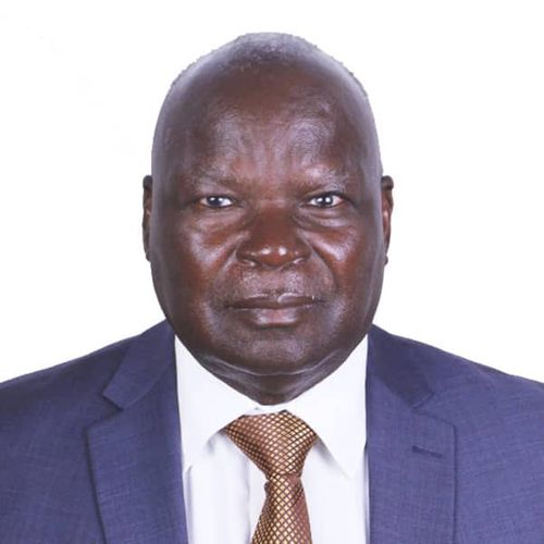 H.E. Honourable July Moyo