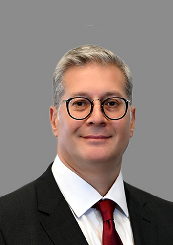 H.E. Honourable Karim Badawi