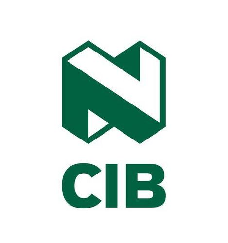 Nedbank CIB