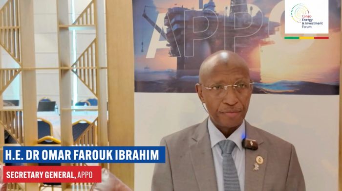 APPO-Afreximbank Select PwC as Project Management Consultants for AEB takeoff