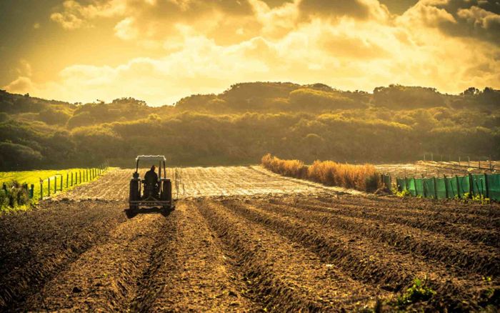 Republic of Congo to Increase Fertilizer Production