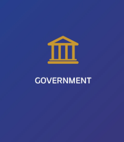 government 