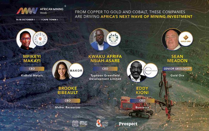 From Copper to Gold and Cobalt, These Companies Are Driving Africa's Next Wave of Mining Investment
