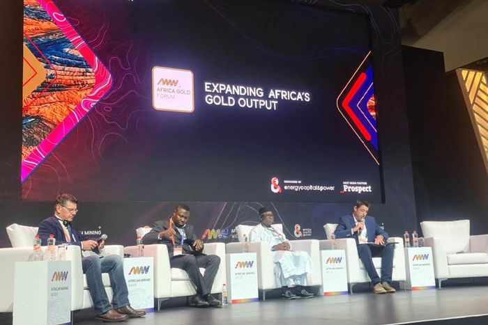 Mali Launches Geology R&D Agency to Boost Gold Sector