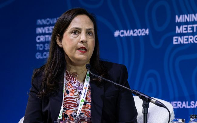 Argentina Seeks SA Expertise to Drive Metals Industry Growth