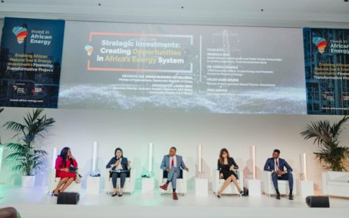 IAE Panel Explores Best Strategies to Fast-track Africa’s Energy Development
