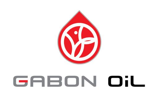 Gabon’s NOC to Discuss Investment Prospects as IAE Platinum Sponsor