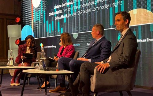 IAE 2025: Experts Call for Hybrid Energy Solutions to Power Africa’s Future