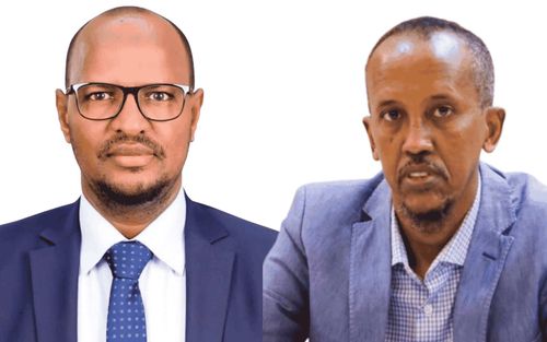 Les leaders du secteur énergétique somalien rejoignent l'IAE 2026 alors que les investisseurs observent la transformation du secteur