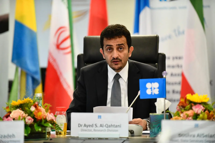 OPEC to Participate at IAE 2024, Outlining Future of Africa’s Energy Industry