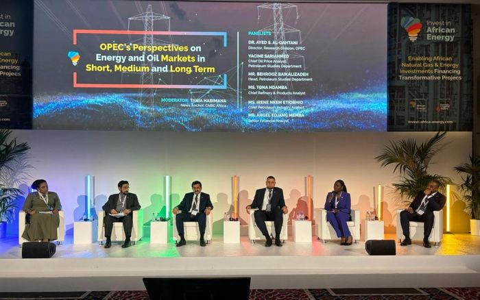 OPEC Champions Africa and South-South Cooperation at IAE 2024