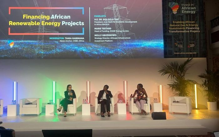 Africa Requires $277B Annually to Achieve 2030 SDGs, Says IAE 2024 Panel