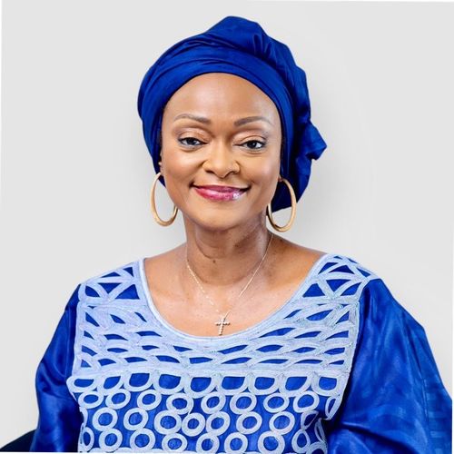 H.E Wivine Moleka - Democratic Republic of Congo 