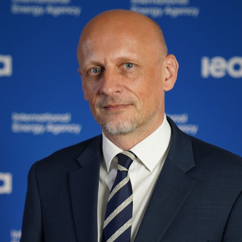 Tim Gould - International Energy Agency