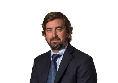 Francisco Gea Pascual de Riquelme