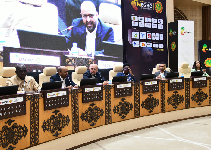 Energy, Petroleum and Mining in Africa: Synergy for inclusive Economic Development