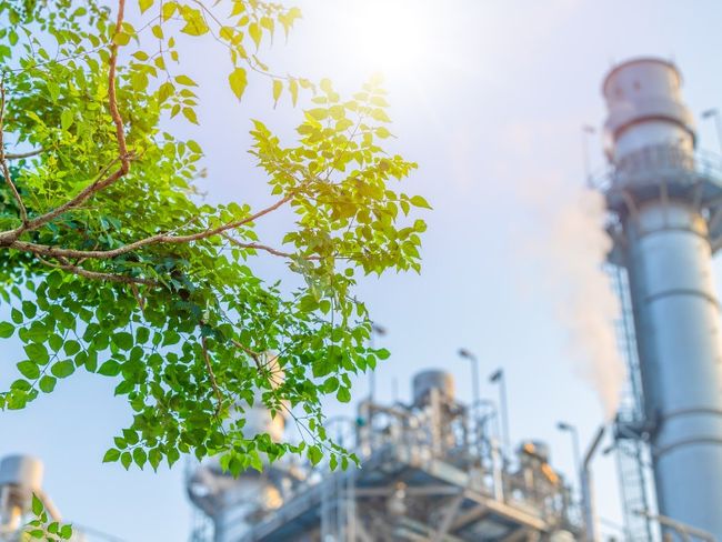 Mercado de carbono de Angola abre novas fontes de receita para investimentos em petróleo e gás