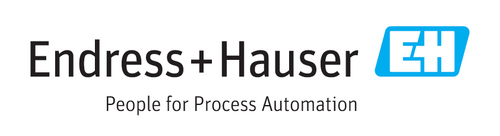 Endress & Hauser
