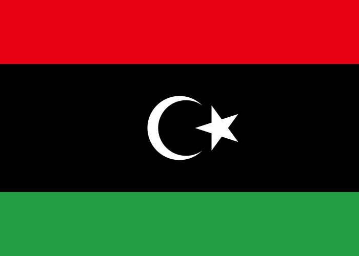 INVEST IN LIBYA ROUNDTABLE 