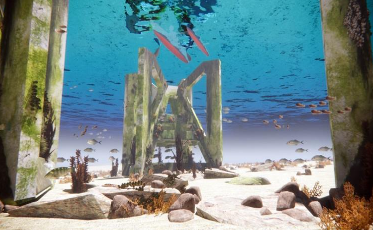 Artist’s visualisation of reef structures