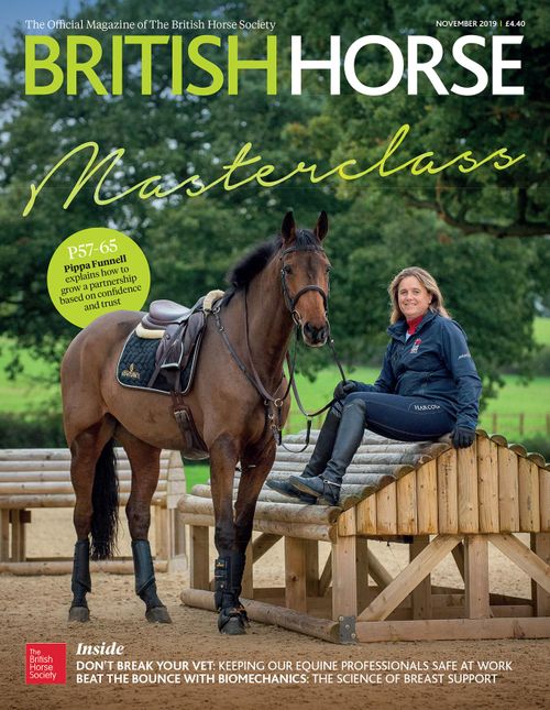 British Horse Magazine