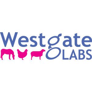 Westgate Laboratories Ltd