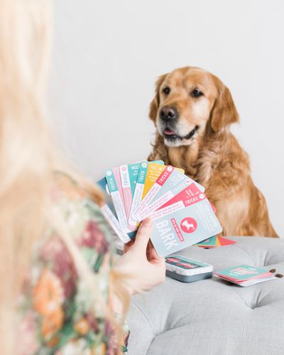 Tricks & Trivia - The Bonding Card Game For Humans & Hounds