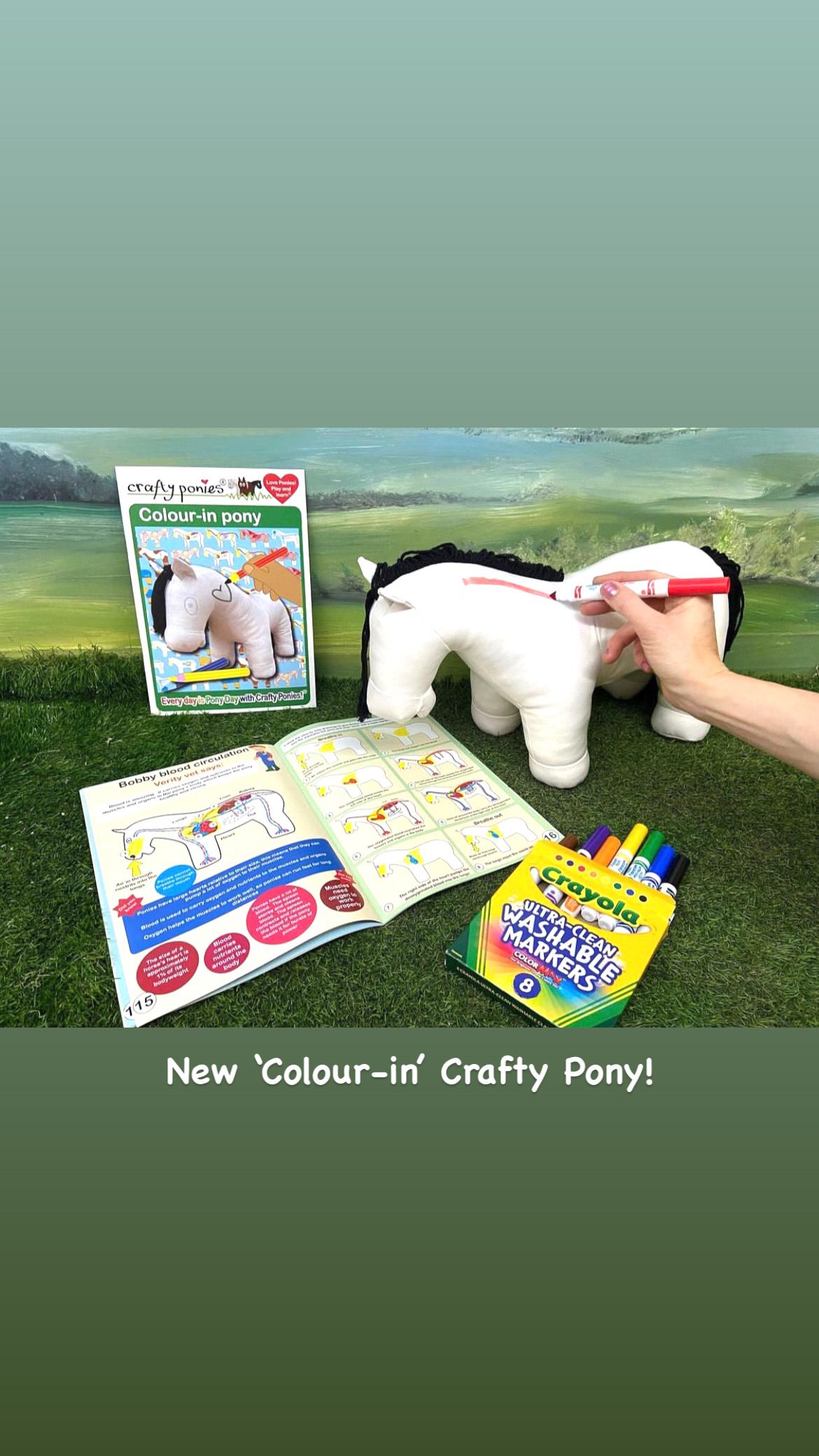 Crafty colour-in Pony, with information booklet and washable pens