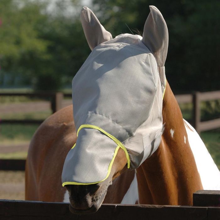 Field Relief Fly Mask Max Beta International 2021 Welcome To Beta International