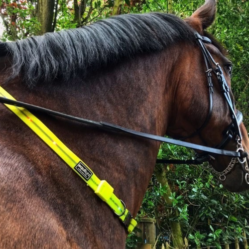 Equi-Light Neck Strap - Free shipping on first order and orders over £1000 get 5% off