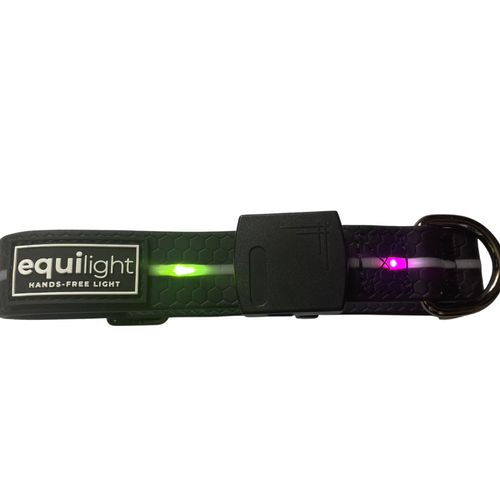 Equi-Light Dog Collar - Free shipping on first order and orders over £1000 get 5% off