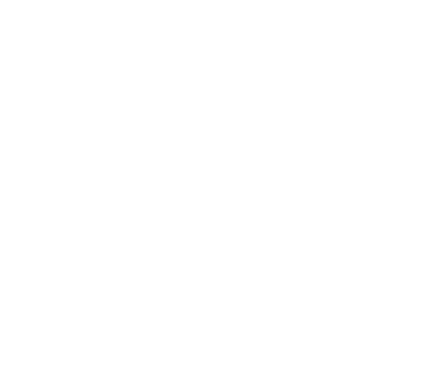 BETA International