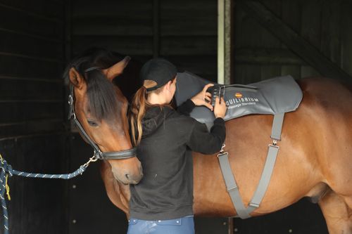 Massage Pad