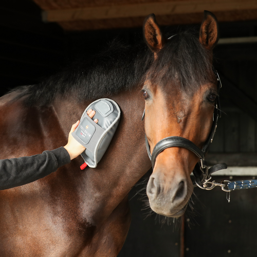 Massage Mitt Hotspot
