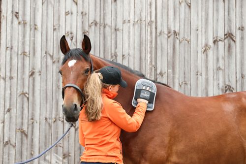 Massage Mitt
