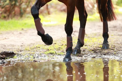 Tri-Zone Brushing Boots