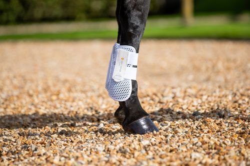 Tri-Zone Tendon Boots